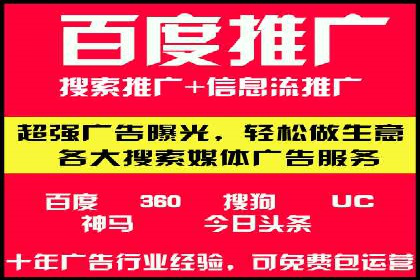 百度竞价排名实战：某电商平台的成功之路